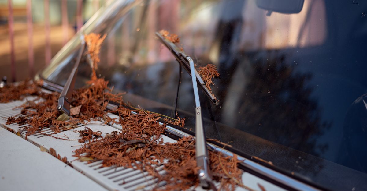 découvrez comment remplacer les essuie-glaces de votre audi a8 et choisir des balais adaptés pour une visibilité optimale et une conduite en sécurité.