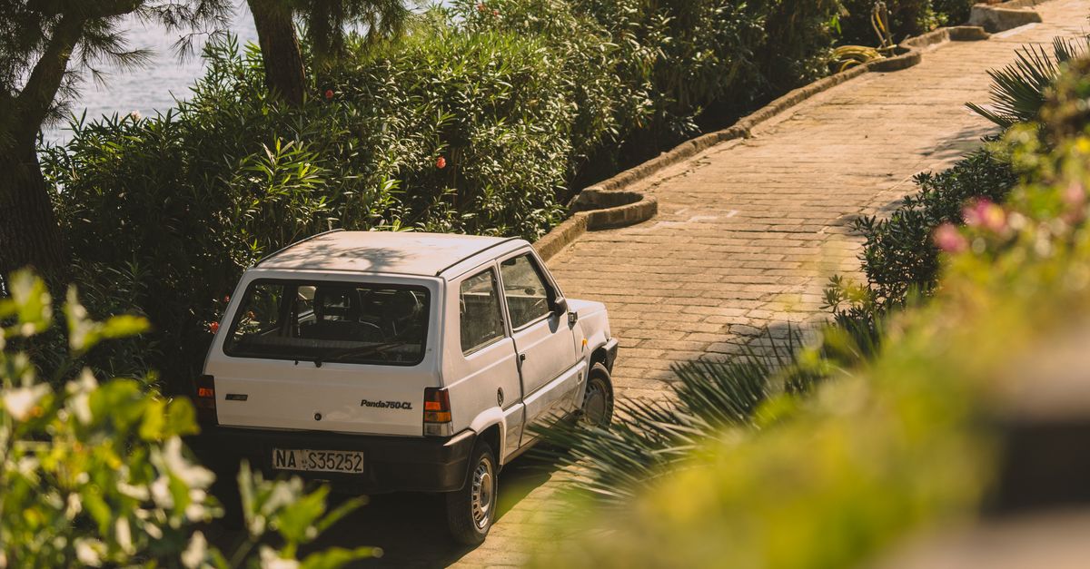 découvrez l’intervalle de vidange recommandé pour la fiat panda 3 et les points à vérifier selon l’année et la motorisation.